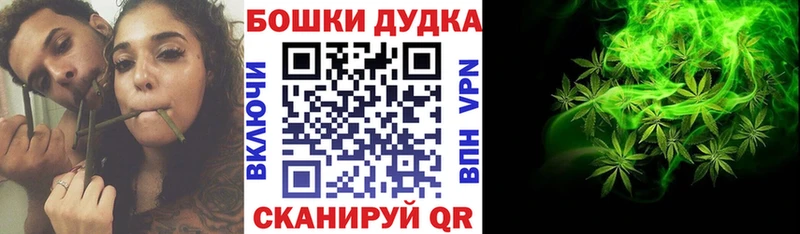 Бошки Шишки MAZAR  где найти   Красково 